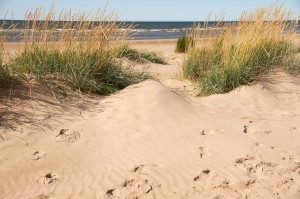 Hailuodossa voit viettää päivän vaikkapa hiekkarannalla makoillen. (Kuva: Hailuodon matkailu)