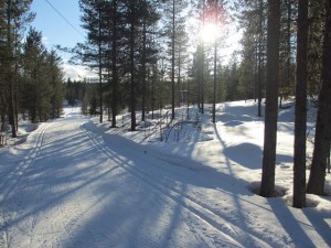 Muonion rauhallisissa maisemissa on mukava hiihdellä. Kuva: KivaaTekemistä.fi