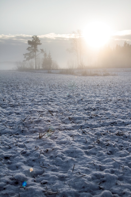 Peltomaisema puolen päivän aikaan, Jalasjärvi. Kuva: Niko Saarinen Photography