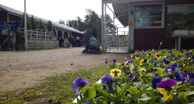 Orvokit ja puiston sisäänkäynti.Kuva: KivaaTekemistä.fi