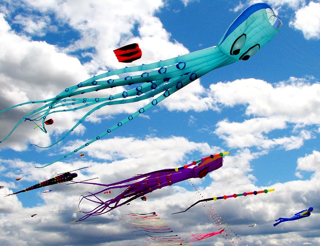 kites-779957_640