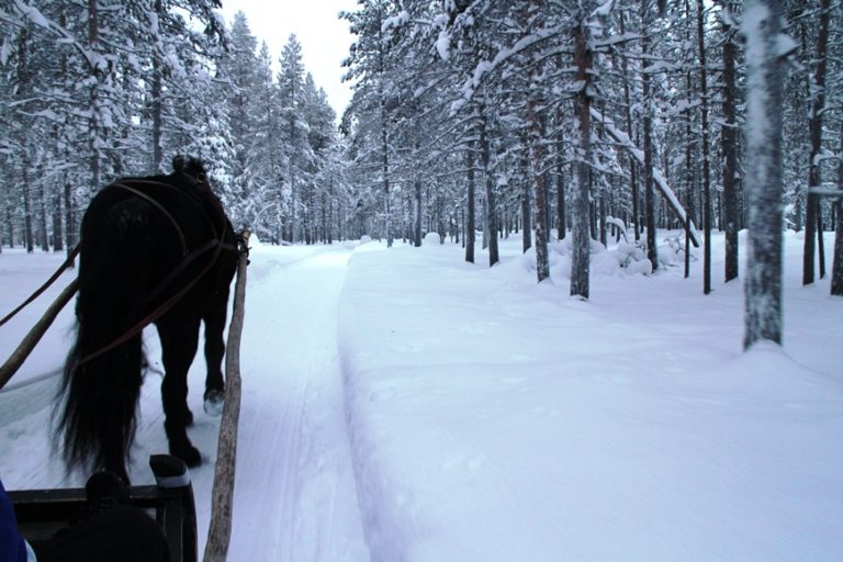 Kuukauden Kohde: Länsi-Lappi – Talvimatkailijan Unelmakohde ...